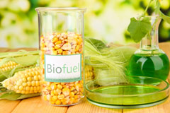 Southfield biofuel availability